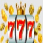 Profile picture of MT777